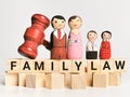 Phrase FAMILY LAW written on wooden cubes with dolls and gavel.