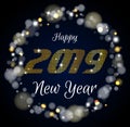 Phrase Happy New Year 2019 with a lens flare glamour frame, vector illustration