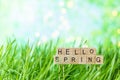 Phrase Hello Spring on the background of green summer grass with dew Royalty Free Stock Photo