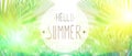 Phrase Hello summer on the background of green foliage and sunlight