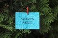 Phrase What is Next hanging on a tree
