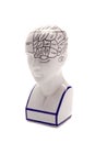 Phrenology Head Royalty Free Stock Photo