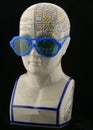 Phrenology Head with Child's sunglasses