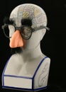 Phrenology Head with Gag Glasses Royalty Free Stock Photo