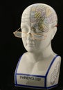 Phrenology Head with reading glasses