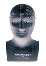 Phrenology head on white background