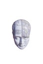 Phrenology map of the brain Royalty Free Stock Photo