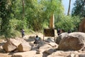 Sam Kok Wa sign during hiking to the top of mountain plateau at Phu Kradueng National Park