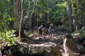 Hikers pass stone track during hiking to the top of mountain plateau at Phu Kradueng National Park