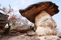 Phu pha thoep national park, Mukdaharn Thailand