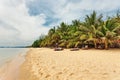 Exotic tropical beach. Royalty Free Stock Photo