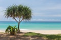 Phuket island Komala beach,Thailand