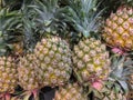 Phuket pineapple Royalty Free Stock Photo