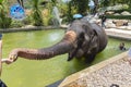 Phuket, Thailand - 04/19/2019 - Elephant bathing camp in Phuket with captive elephant in bathing pool being fed by tourists