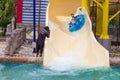 Splash Jungle Water Park photographer takes picture of their customers riding down the water slide Royalty Free Stock Photo