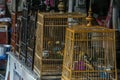 wild songbirds in cages at the market. Travel around Asia.