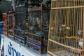 Wild songbirds in cages at the market. Travel around Asia.