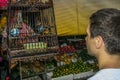 A young man standing by the wild songbirds in cages at the market. Travel around Asia.