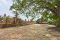 Phukhao Thong in Ayutthaya, Thailand.