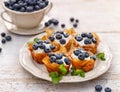 Phyllo cups with Mascarpone cheese filling topped with fresh blueberries sprinkled with powder sugar on a white plate close up.