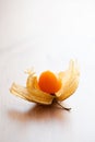 Physalis Royalty Free Stock Photo