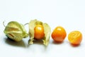 Physalis Royalty Free Stock Photo