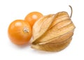 Physalis