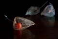 Physalis alkekengi, dried fruits on reflective dark wood, copy s