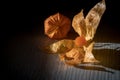 Physalis alkekengi Royalty Free Stock Photo