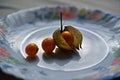 Physalis alkekengi yellow winter cherry, bladder cherry Royalty Free Stock Photo