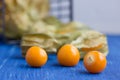 (Physalis alkekengi) yellow winter cherry Royalty Free Stock Photo