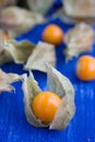 (Physalis alkekengi) yellow winter cherry Royalty Free Stock Photo