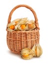 physalis basket path isolated Royalty Free Stock Photo