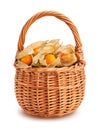 physalis basket path isolated Royalty Free Stock Photo