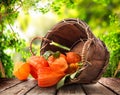 Physalis in a basket Royalty Free Stock Photo