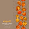 Physalis vector background Royalty Free Stock Photo