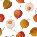 Physalis buds. Cape gooseberry flowers seamless watercolor pattern Golden berry colorful botanical illustration Autumn berries