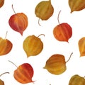 Physalis buds red orange seamless watercolor pattern Cape gooseberry flowers Golden berry colorful botanical illustration Autumn