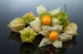 Physalis or cape gooseberry Royalty Free Stock Photo