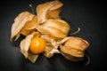 Physalis Cape gooseberry. Royalty Free Stock Photo