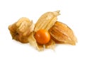 Physalis or cape gooseberry fruit on white. Ripe physalis fruits with calyx open