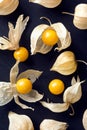 Physalis or Cape Gooseberry or Groundcherry Royalty Free Stock Photo