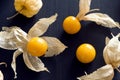 Physalis or Cape Gooseberry or Groundcherry