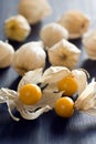 Physalis or Cape Gooseberry or Groundcherry Royalty Free Stock Photo