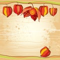 Physalis or Cape gooseberry in orange and in red on the textured beige background. Decorative autumn background.