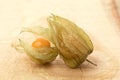 Physalis - cape gooseberry Royalty Free Stock Photo