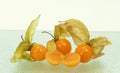 Physalis Royalty Free Stock Photo