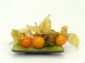 Physalis Royalty Free Stock Photo