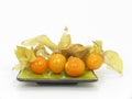 Physalis Royalty Free Stock Photo