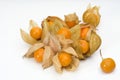 Physalis fruit 1 Royalty Free Stock Photo